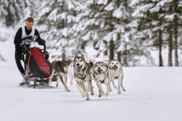 Kandersteg 2014 WM