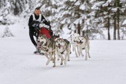 Kandersteg 2014 WM