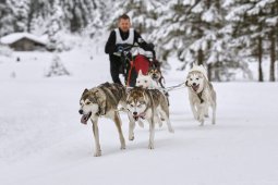 Kandersteg 2014 WM