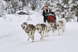 Kandersteg 2014 WM