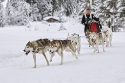 Kandersteg 2014 WM