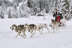 Kandersteg 2014 WM