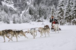 Kandersteg 2014 WM