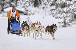 Kandersteg 2014 WM