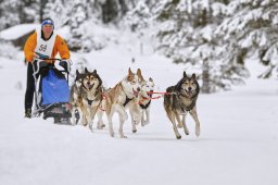 Kandersteg 2014 WM