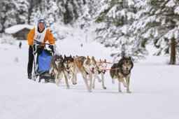 Kandersteg 2014 WM