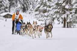 Kandersteg 2014 WM
