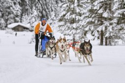 Kandersteg 2014 WM