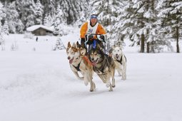 Kandersteg 2014 WM
