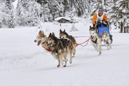 Kandersteg 2014 WM