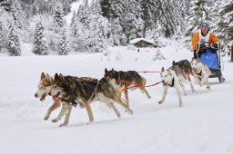Kandersteg 2014 WM