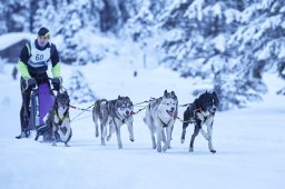 Kandersteg 2014 WM