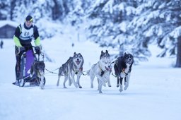 Kandersteg 2014 WM