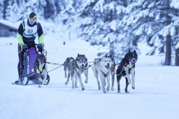 Kandersteg 2014 WM