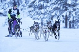 Kandersteg 2014 WM