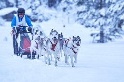 Kandersteg 2014 WM
