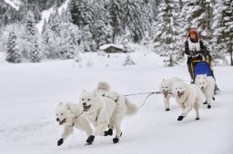 Kandersteg 2014 WM