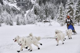 Kandersteg 2014 WM