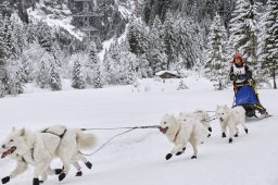 Kandersteg 2014 WM