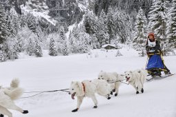 Kandersteg 2014 WM