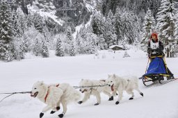 Kandersteg 2014 WM