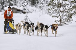 Kandersteg 2014 WM