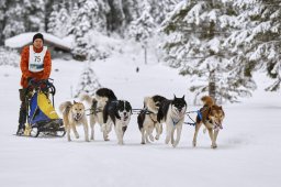 Kandersteg 2014 WM