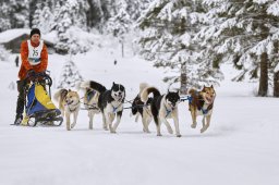 Kandersteg 2014 WM