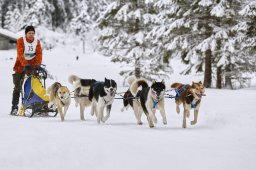 Kandersteg 2014 WM