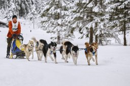 Kandersteg 2014 WM