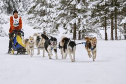 Kandersteg 2014 WM