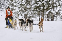 Kandersteg 2014 WM