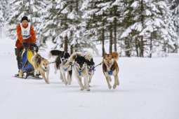 Kandersteg 2014 WM