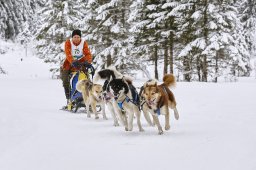 Kandersteg 2014 WM