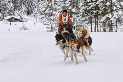 Kandersteg 2014 WM