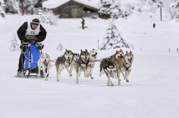 Kandersteg 2014 WM