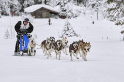 Kandersteg 2014 WM