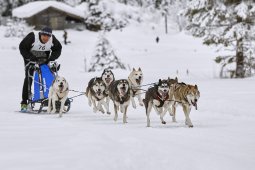 Kandersteg 2014 WM