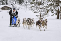 Kandersteg 2014 WM