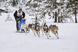 Kandersteg 2014 WM