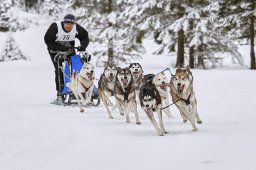 Kandersteg 2014 WM