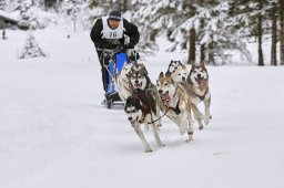 Kandersteg 2014 WM