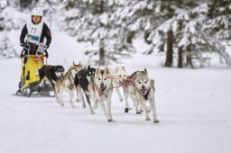 Kandersteg 2014 WM