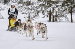 Kandersteg 2014 WM