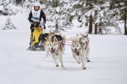 Kandersteg 2014 WM