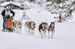 Kandersteg 2014 WM
