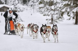 Kandersteg 2014 WM