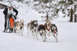 Kandersteg 2014 WM