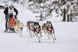 Kandersteg 2014 WM