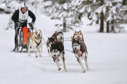 Kandersteg 2014 WM
